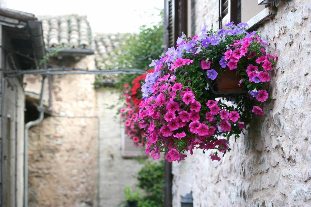 Hotel Palazzo Brunamonti Bevagna Luaran gambar
