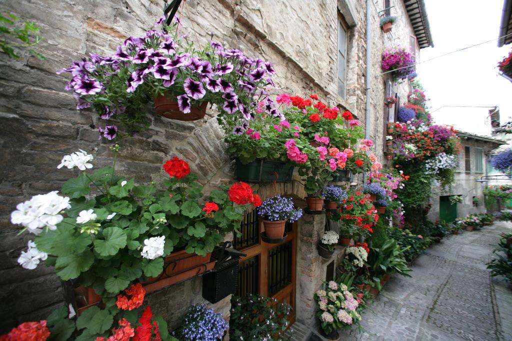 Hotel Palazzo Brunamonti Bevagna Luaran gambar
